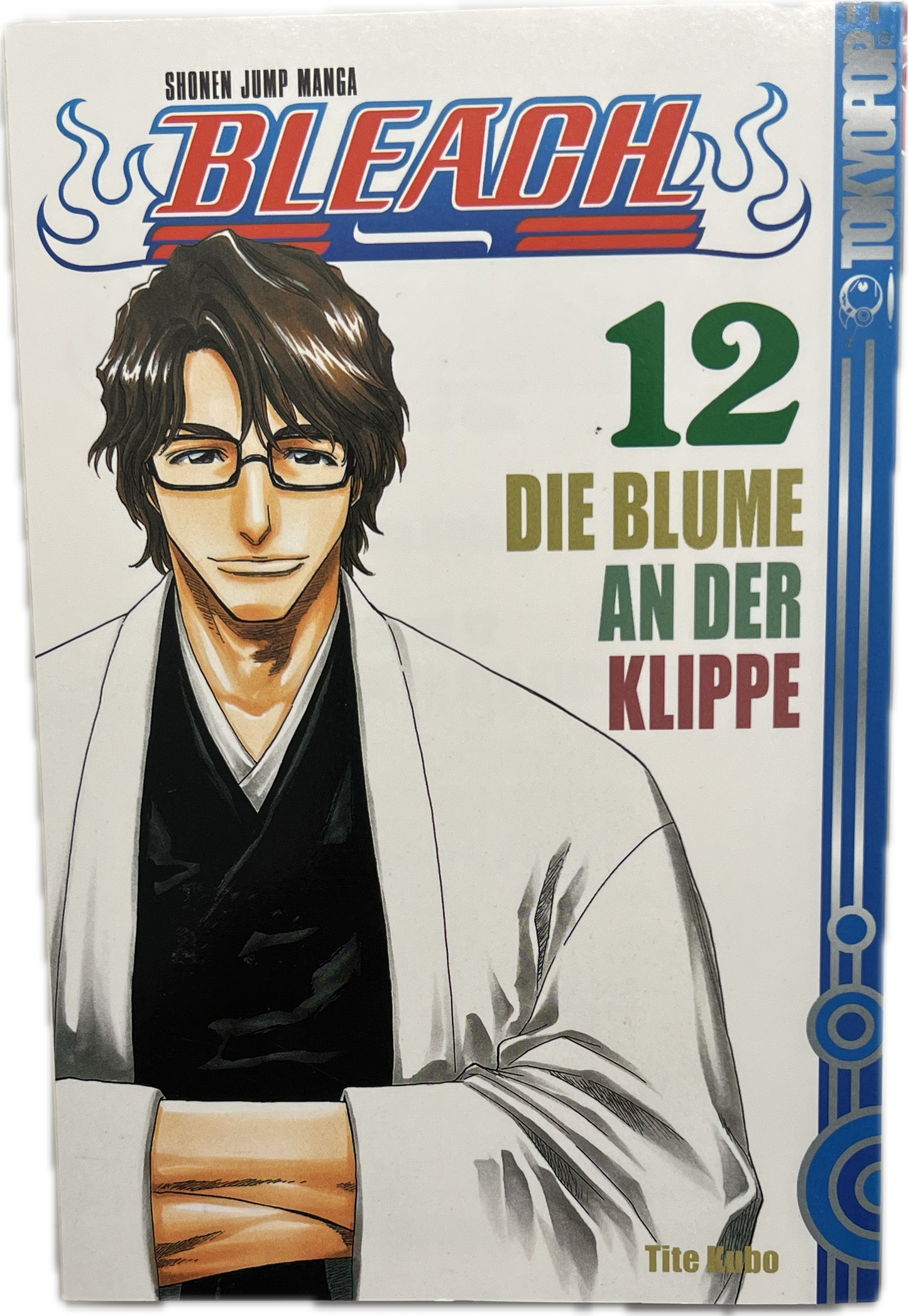 Bleach 12-Manayga