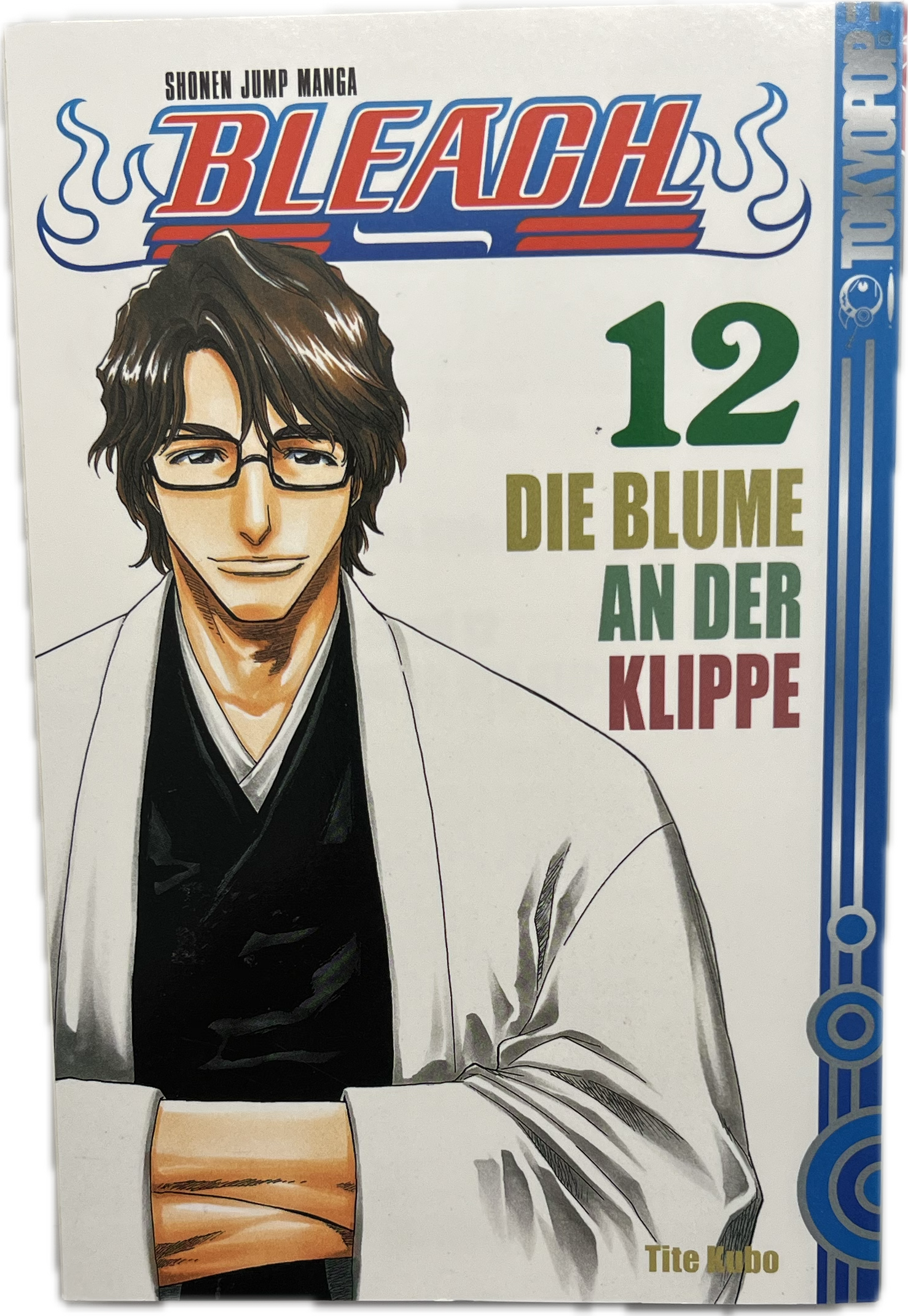 Bleach 12-Manayga