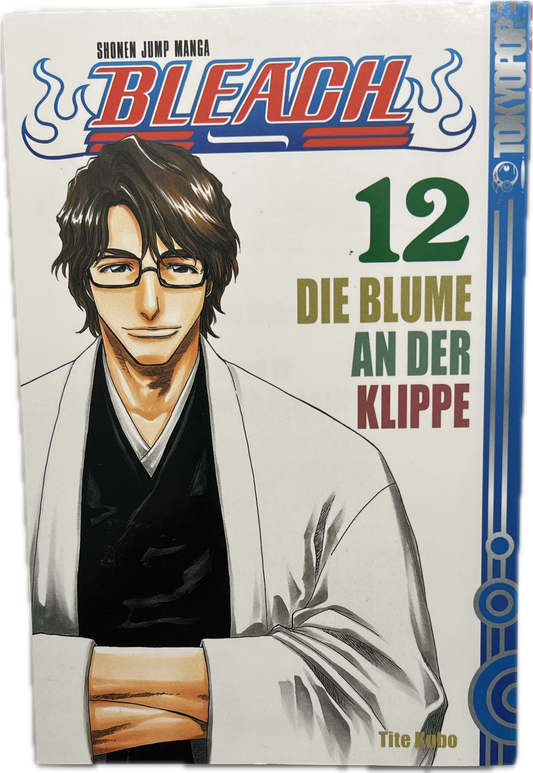 Bleach 12-Manayga