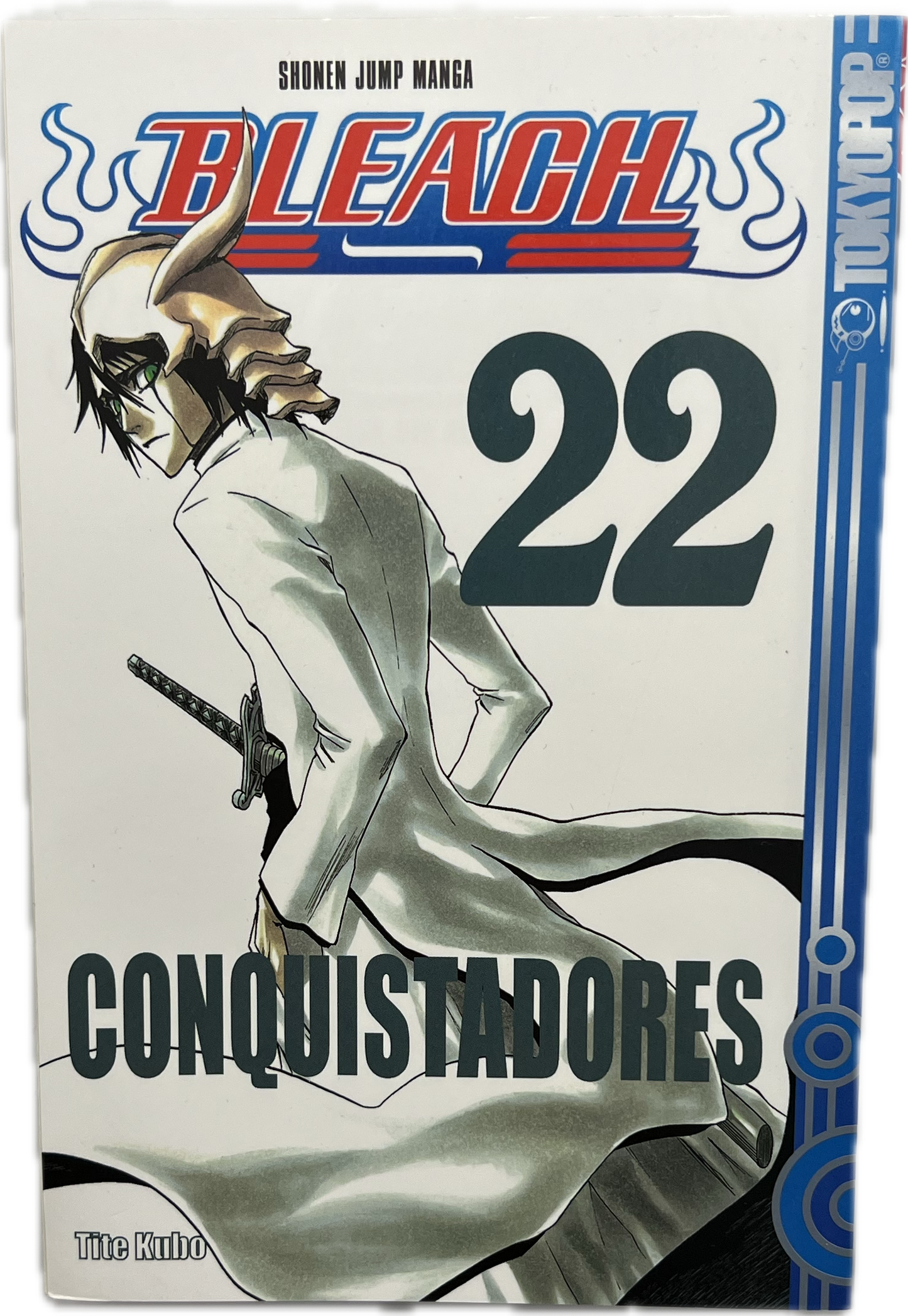 Bleach 22-Manayga