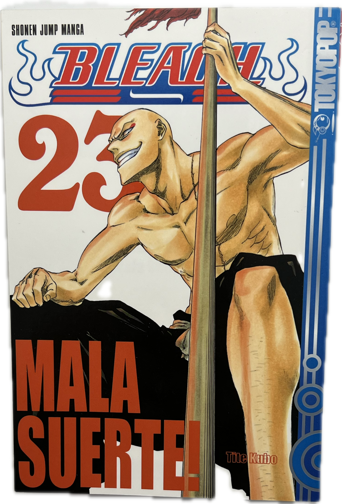 Bleach 23-Manayga