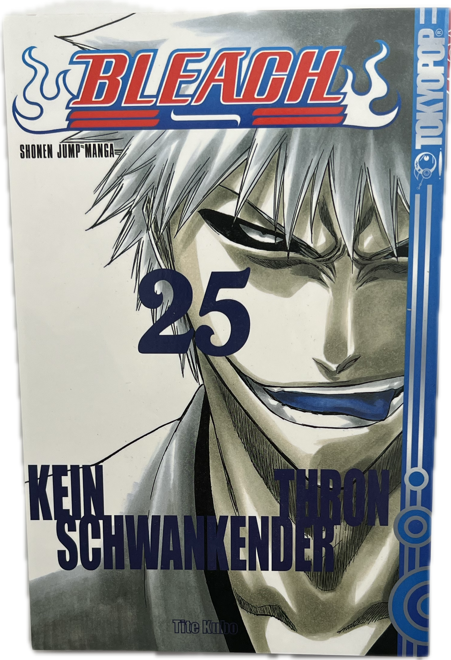 Bleach 25-Manayga