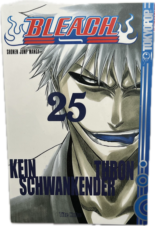 Bleach 25-Manayga