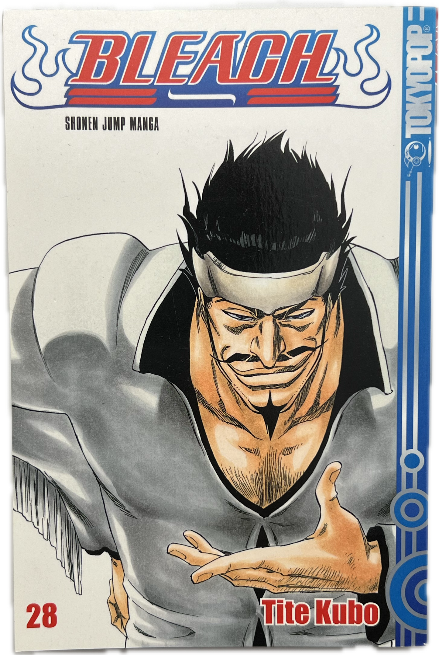 Bleach 28-Manayga