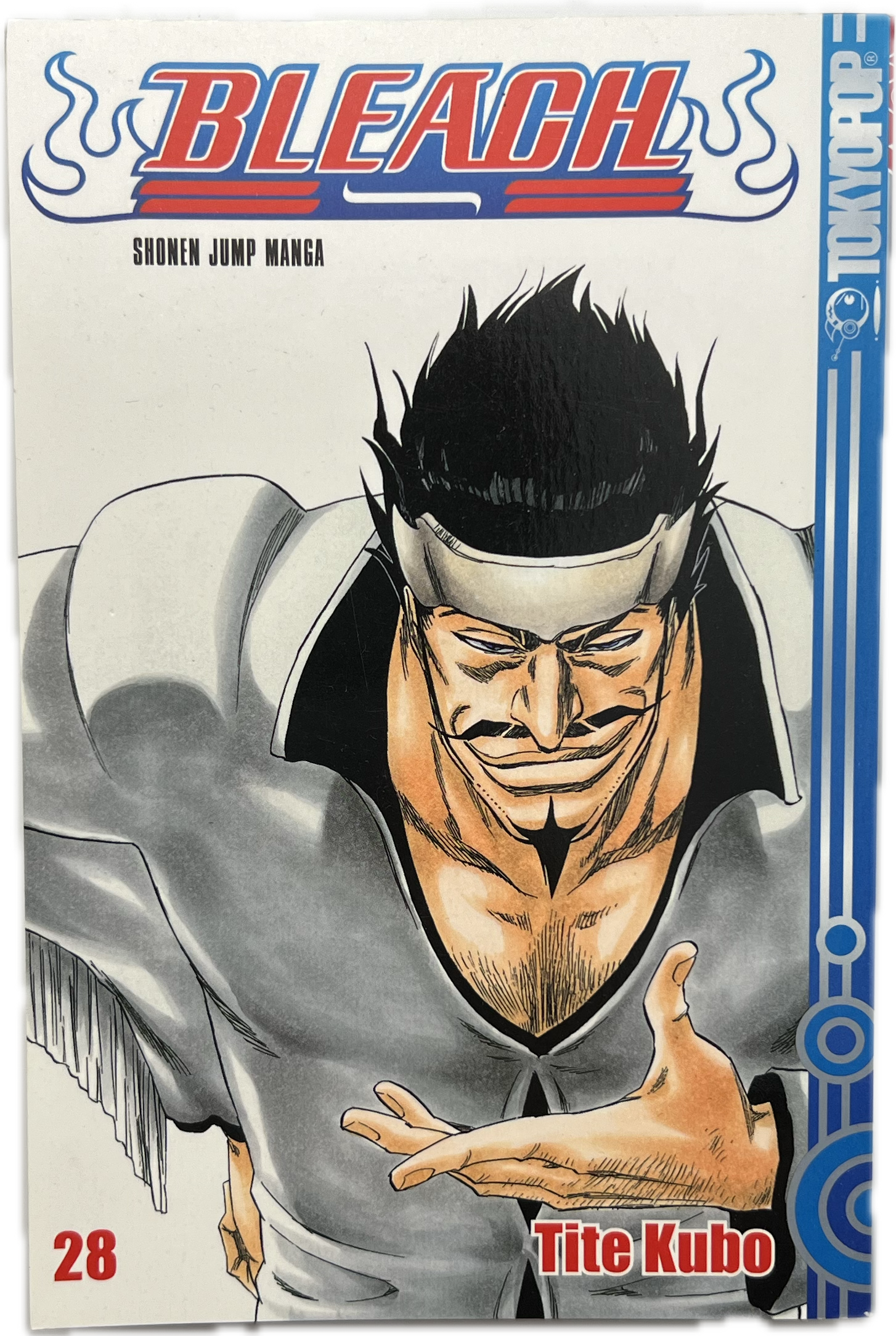 Bleach 28-Manayga