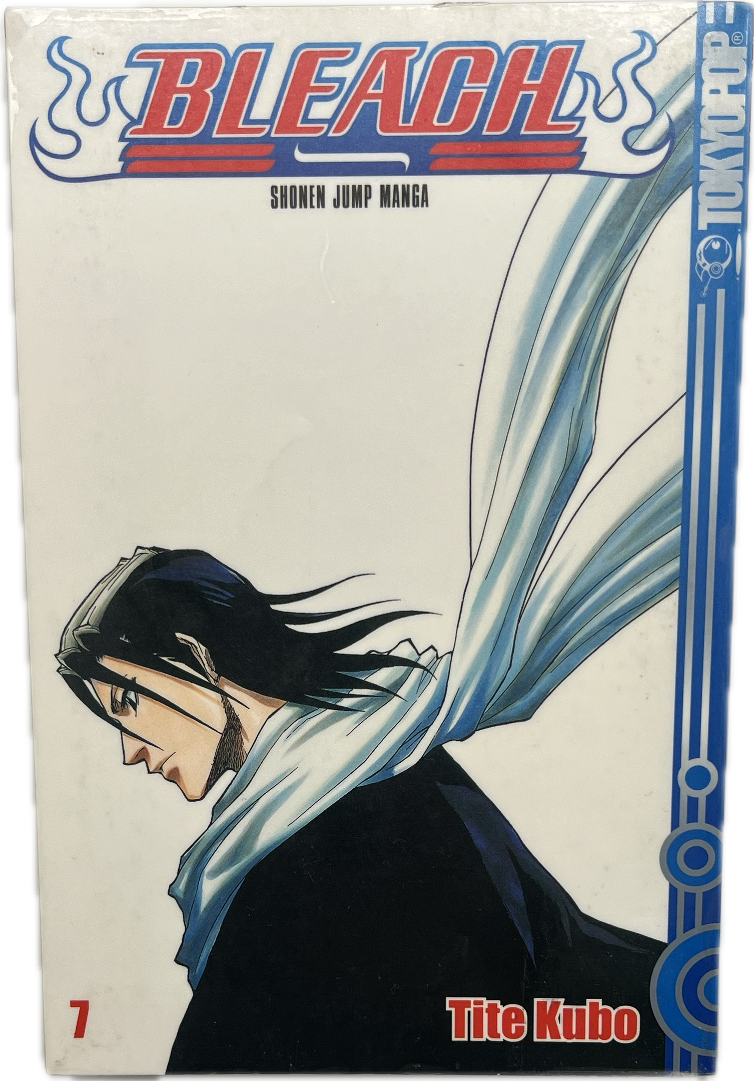 Bleach 7-Manayga