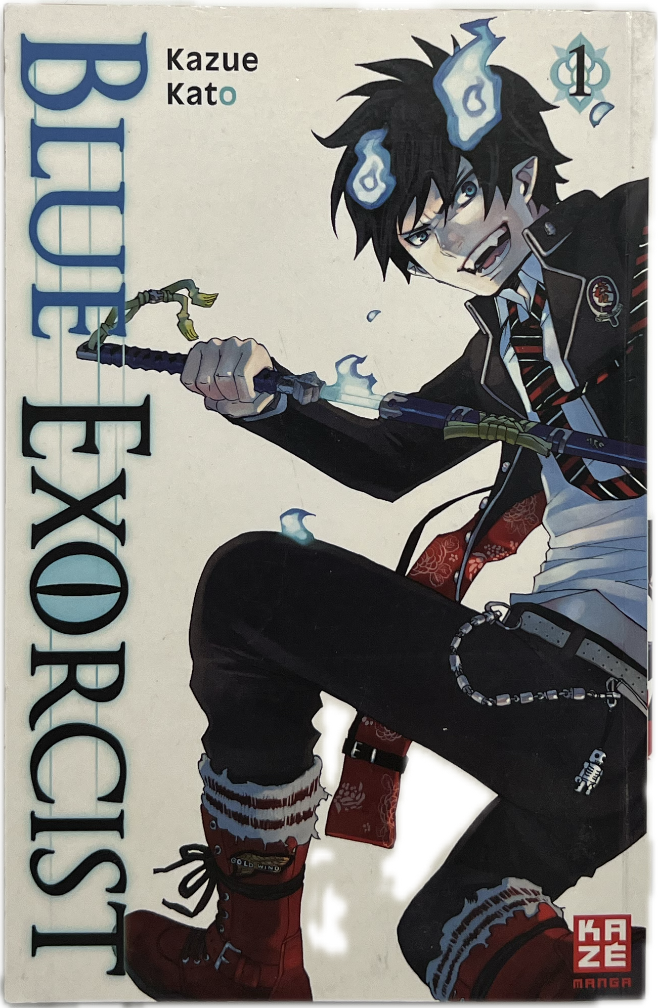 Blue Exorcist 1-Manayga