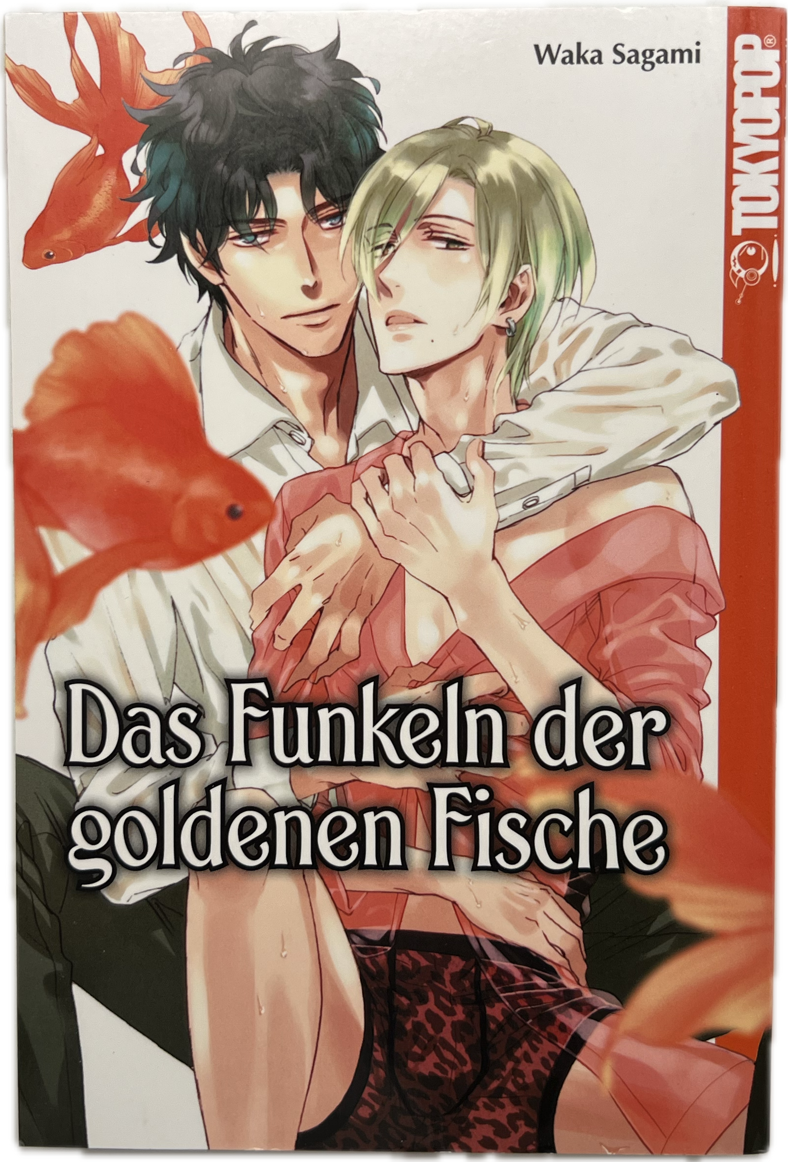 Das funkeln der goldenen Fische