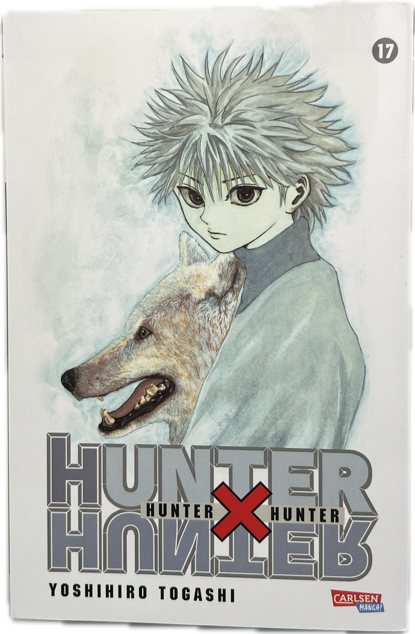 Hunter x Hunter 17