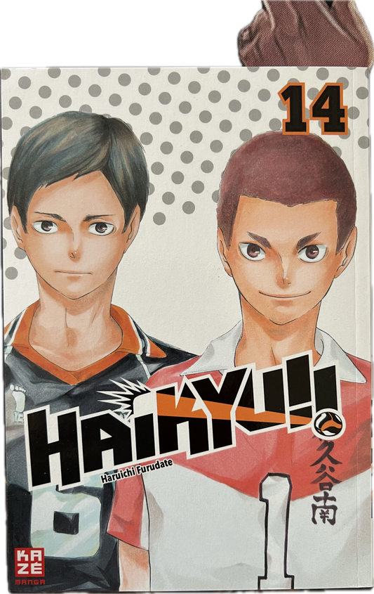 Haikyu 14-Manayga