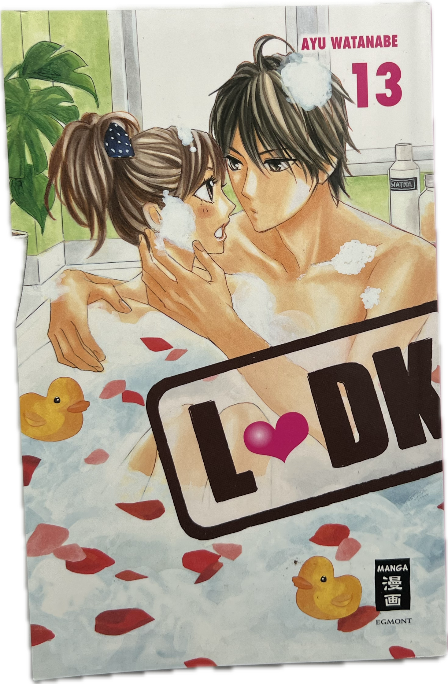 LDK 13