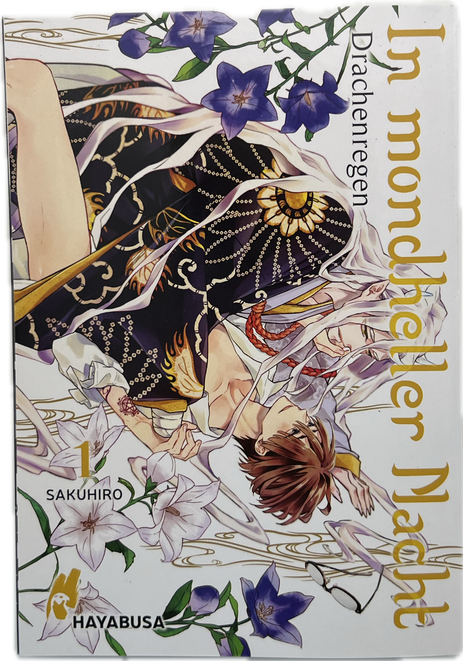 In mondheller Nacht - Drachenregen 01