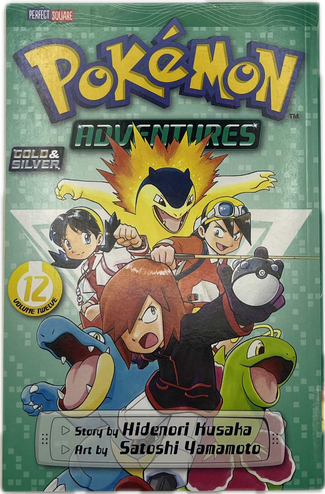 Pokemon Adventures 12 Englisch