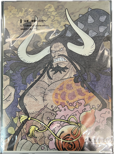 One Piece – Ichiban Kuji Clear File Set – Monkey D. Luffy & Kaido