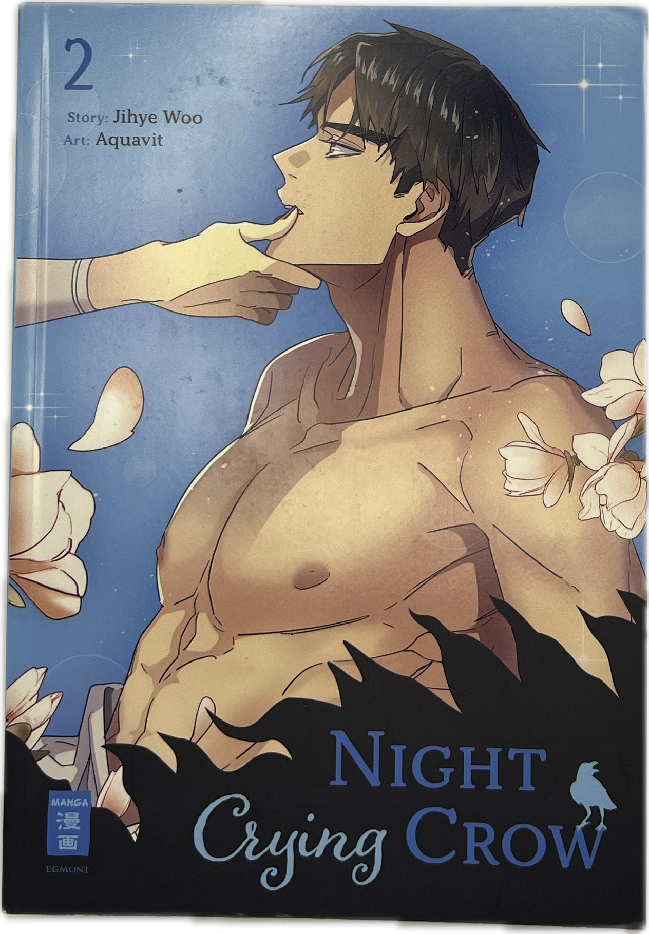 Night Crying Crow 02