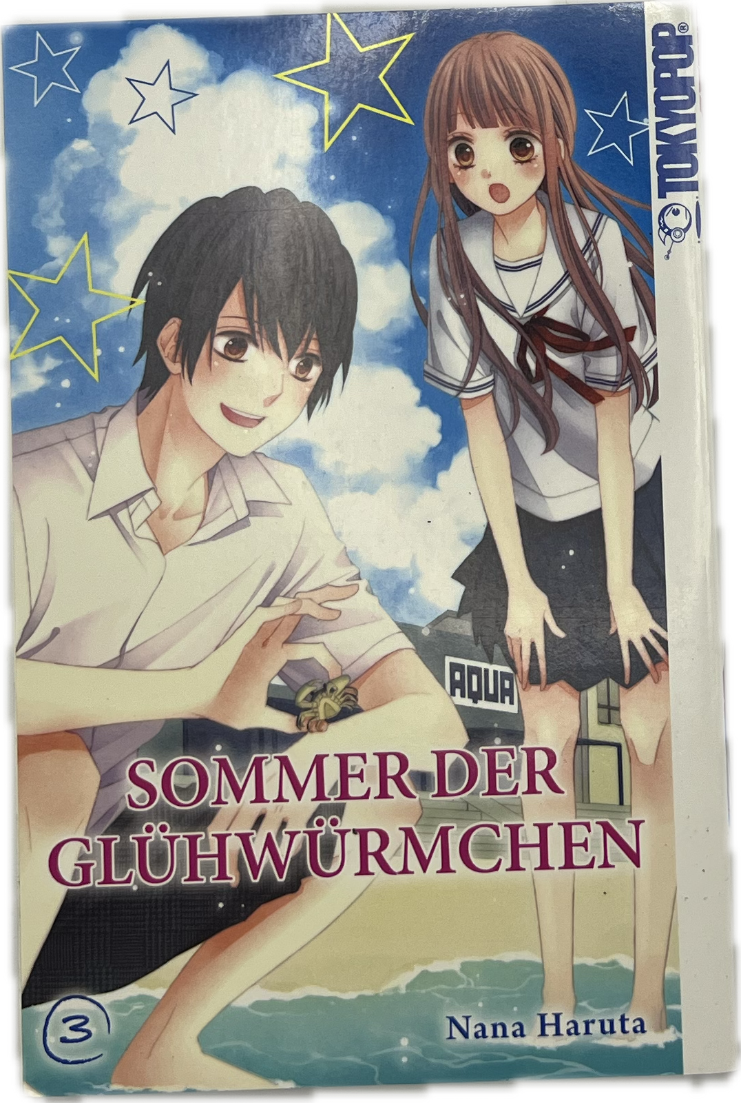 Sommer der Glühwürmchen 03 | Manayga
