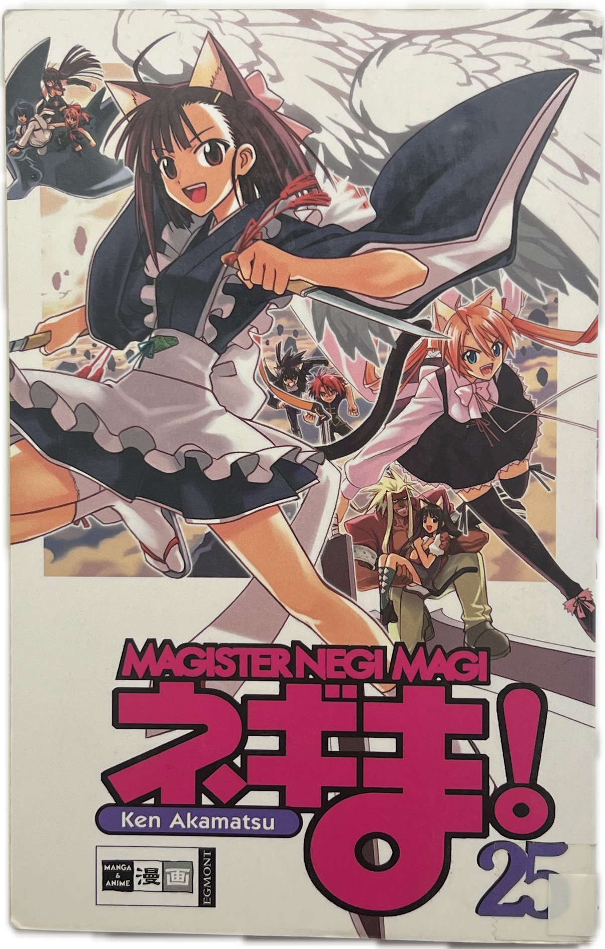 Magister Negi Magi 25