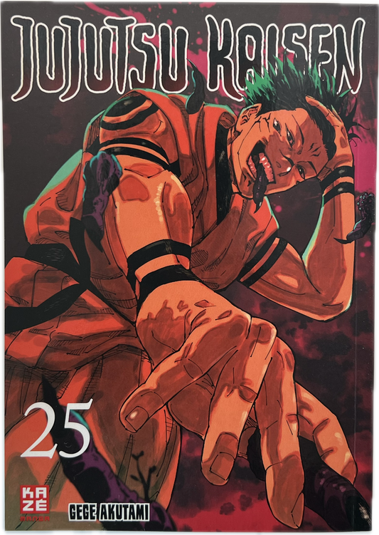 Jujutsu Kaisen 25 | Manayga
