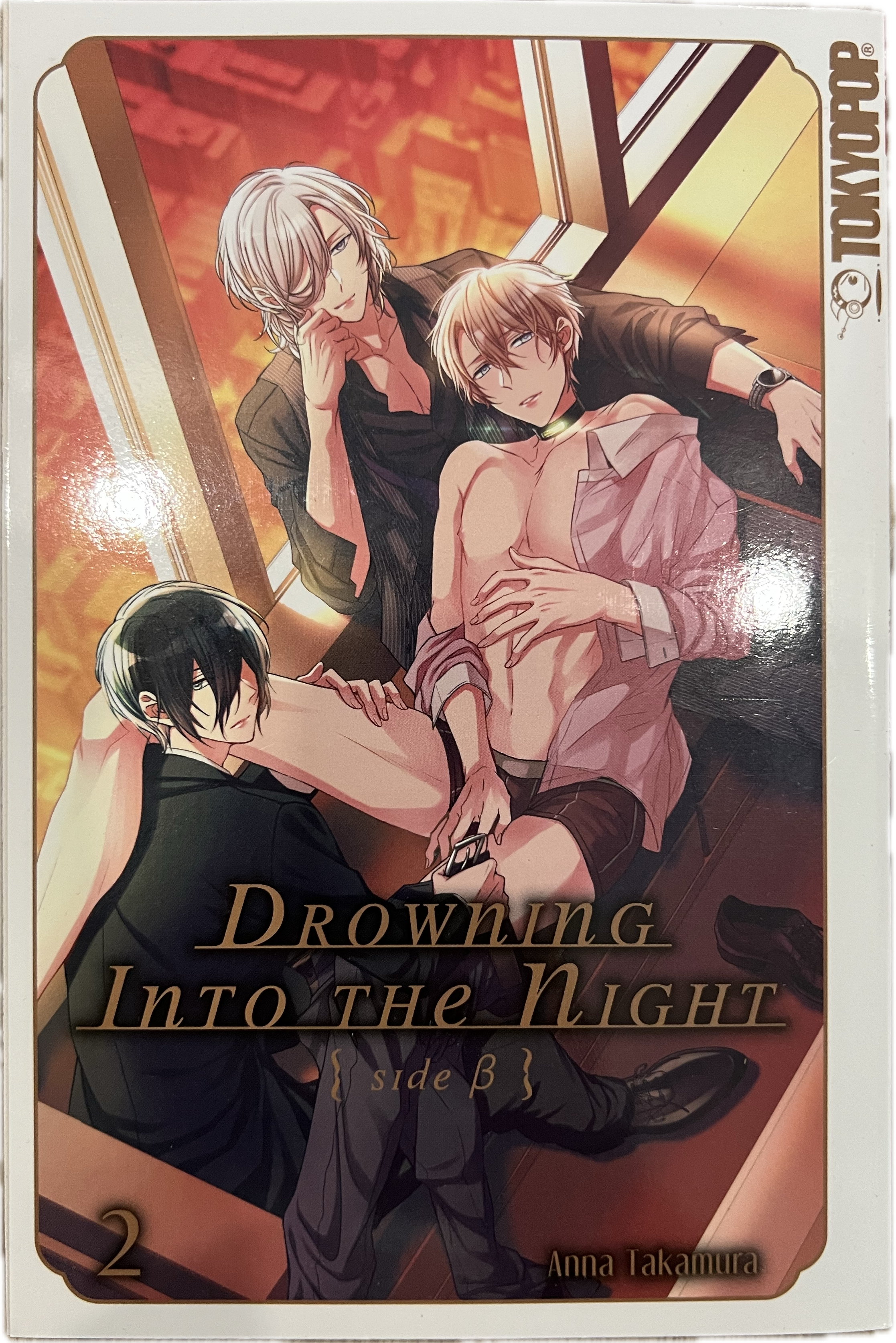 Drowning Into the Night 02