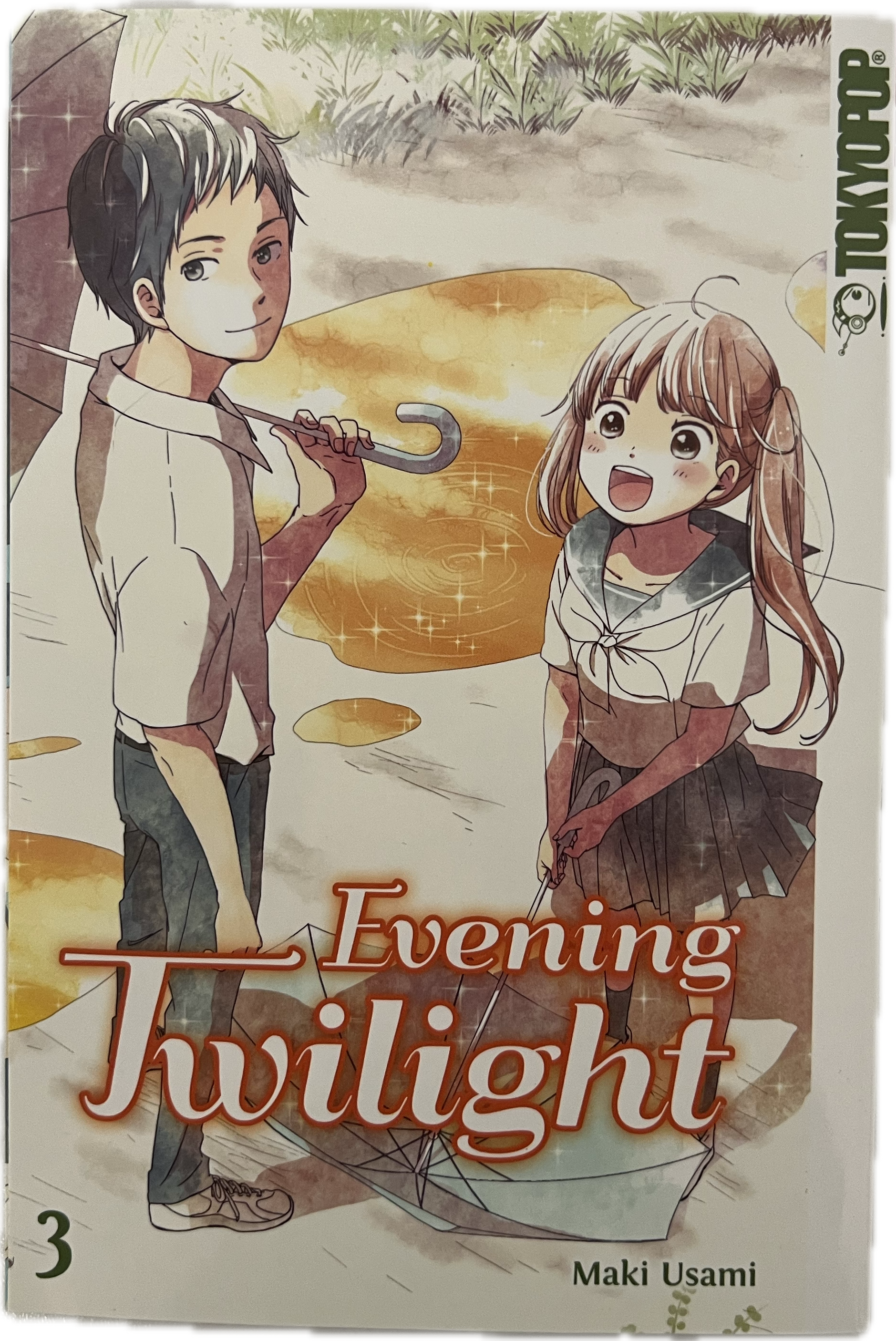 Evening Twilight 03