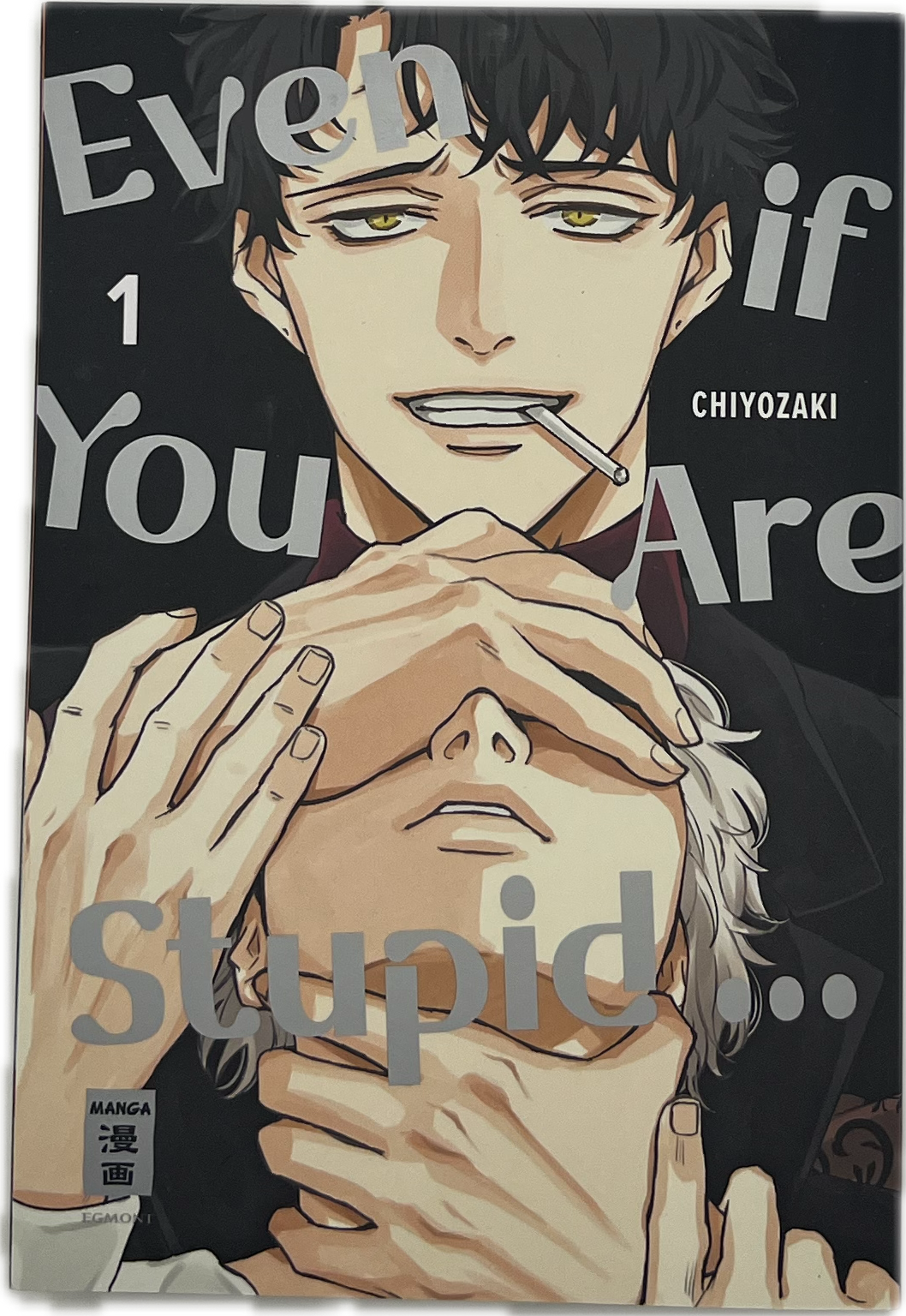 Even if you are Stupid... 01