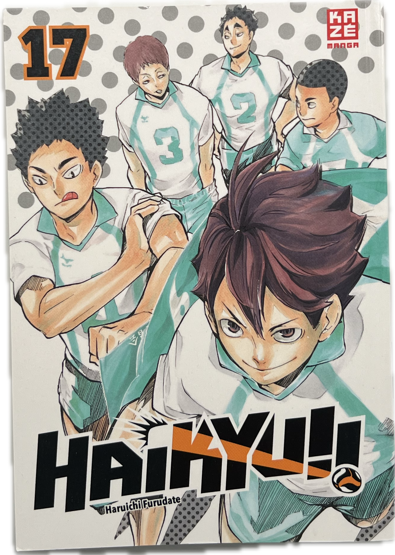 Haikyu 17-Manayga