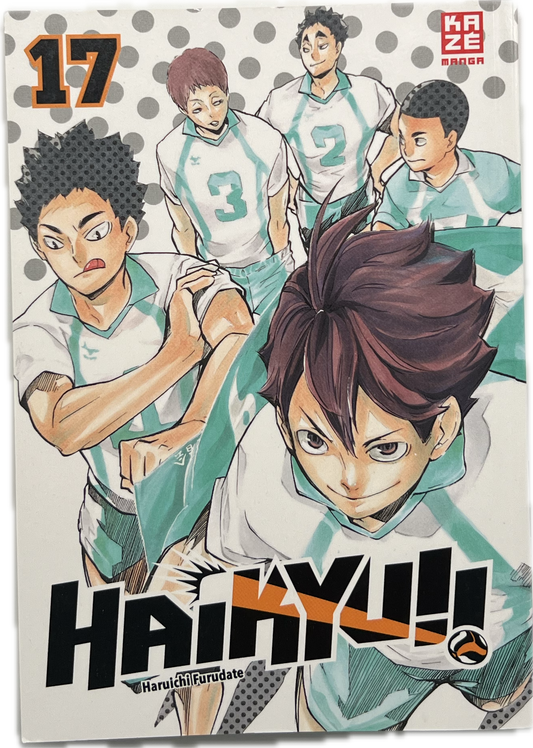 Haikyu 17-Manayga