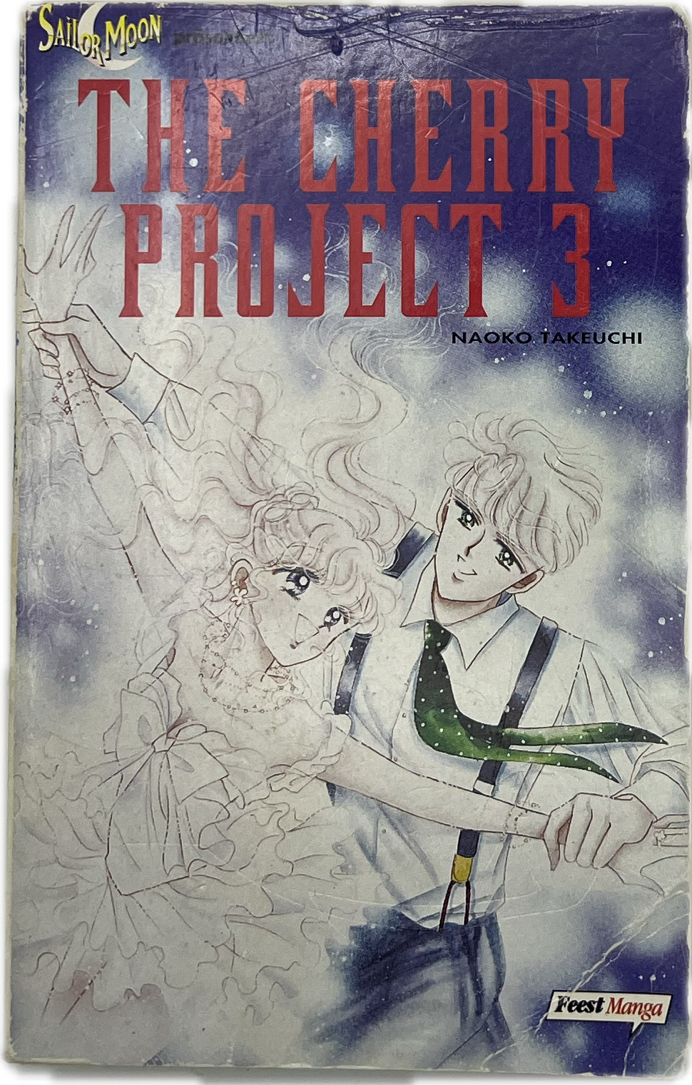 The Cherry Project 03