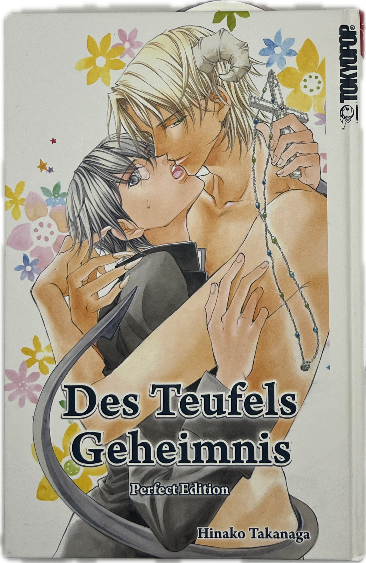 Des Teufels Geheimnis Perfect Edition