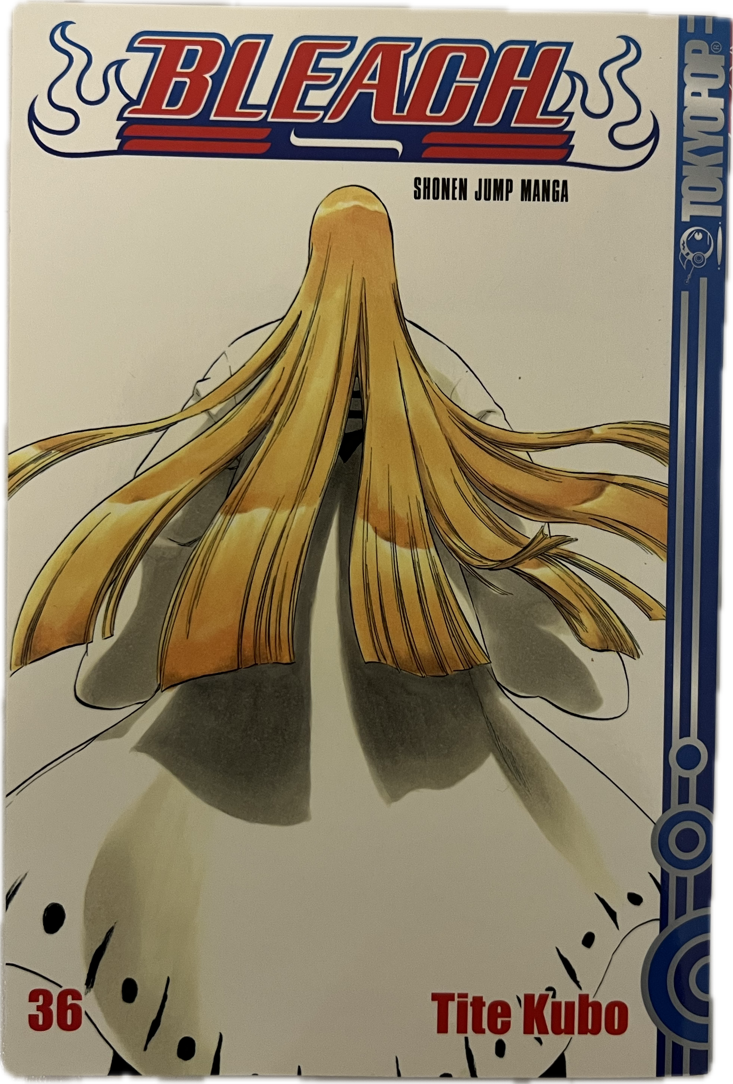 Bleach 36