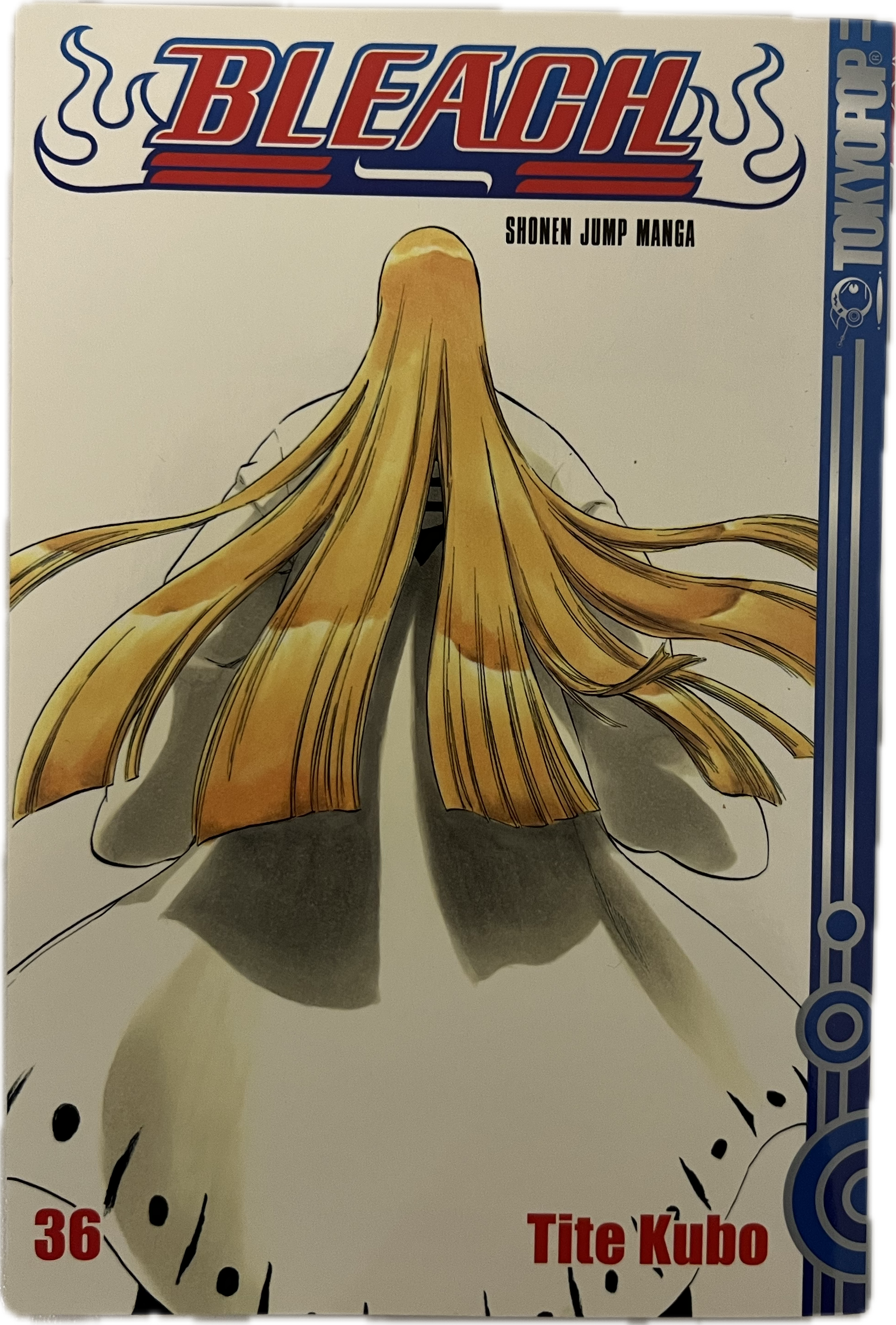 Bleach 36