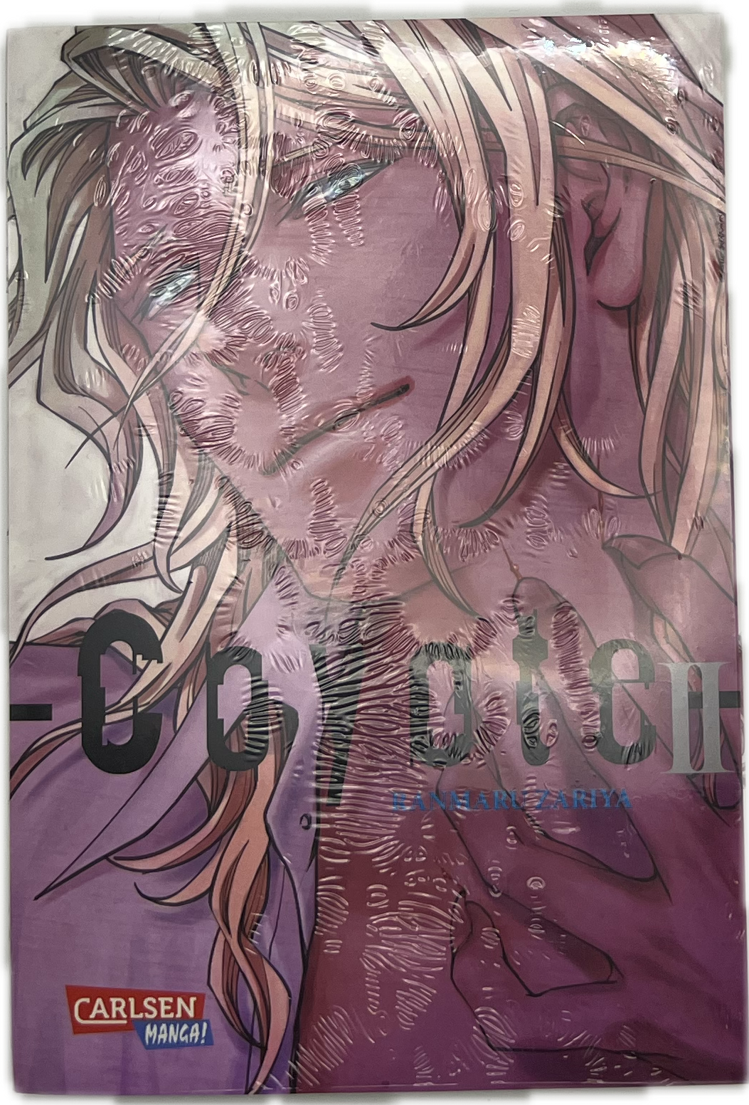 Coyote 02