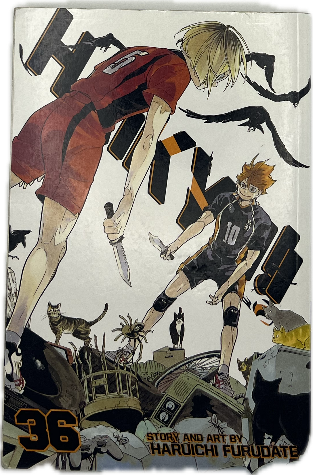 Haikyu 36 Englisch