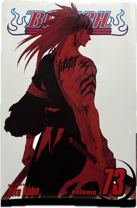 Bleach 73 englisch-Manayga