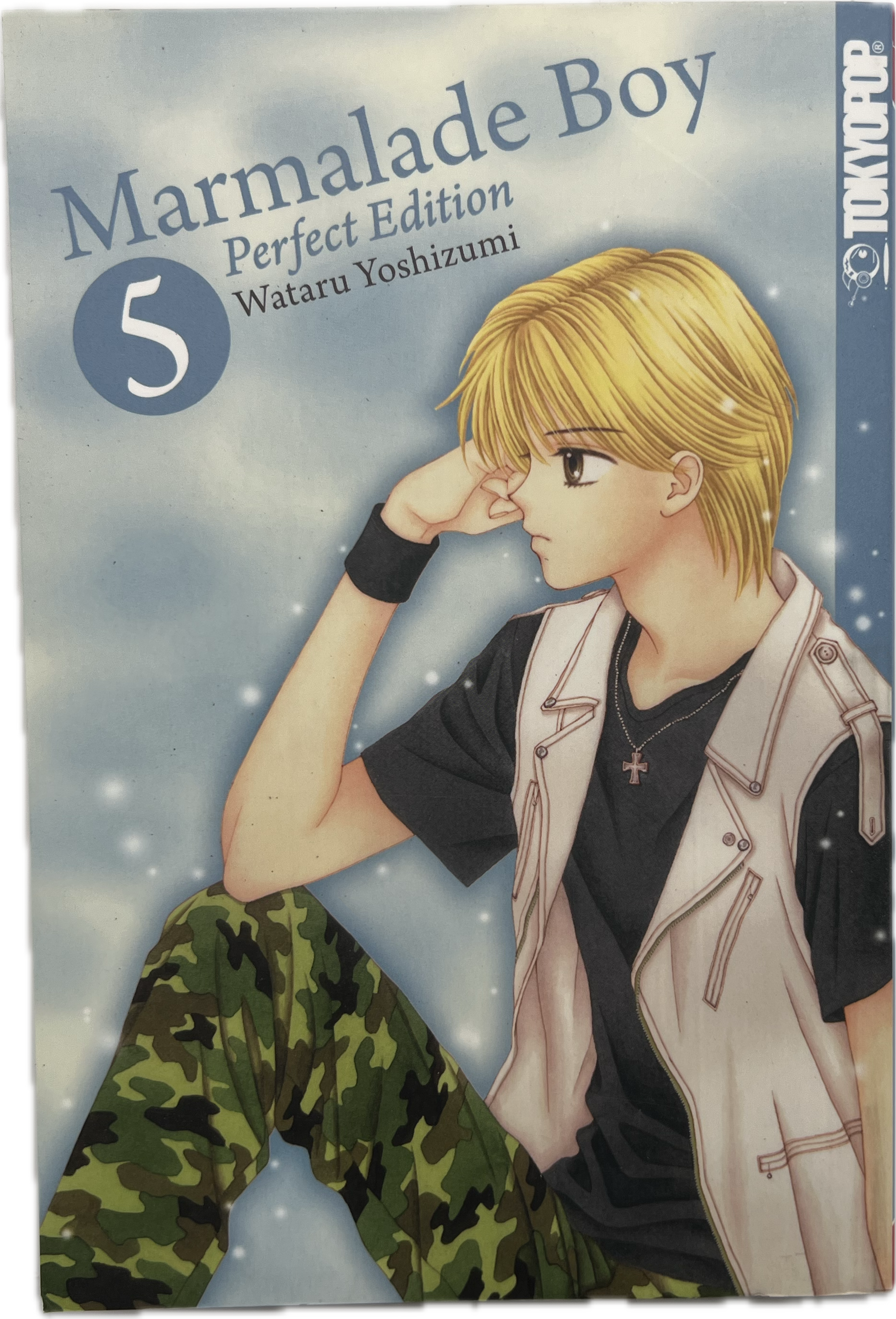 Marmalade Boy Perfect Edition 05