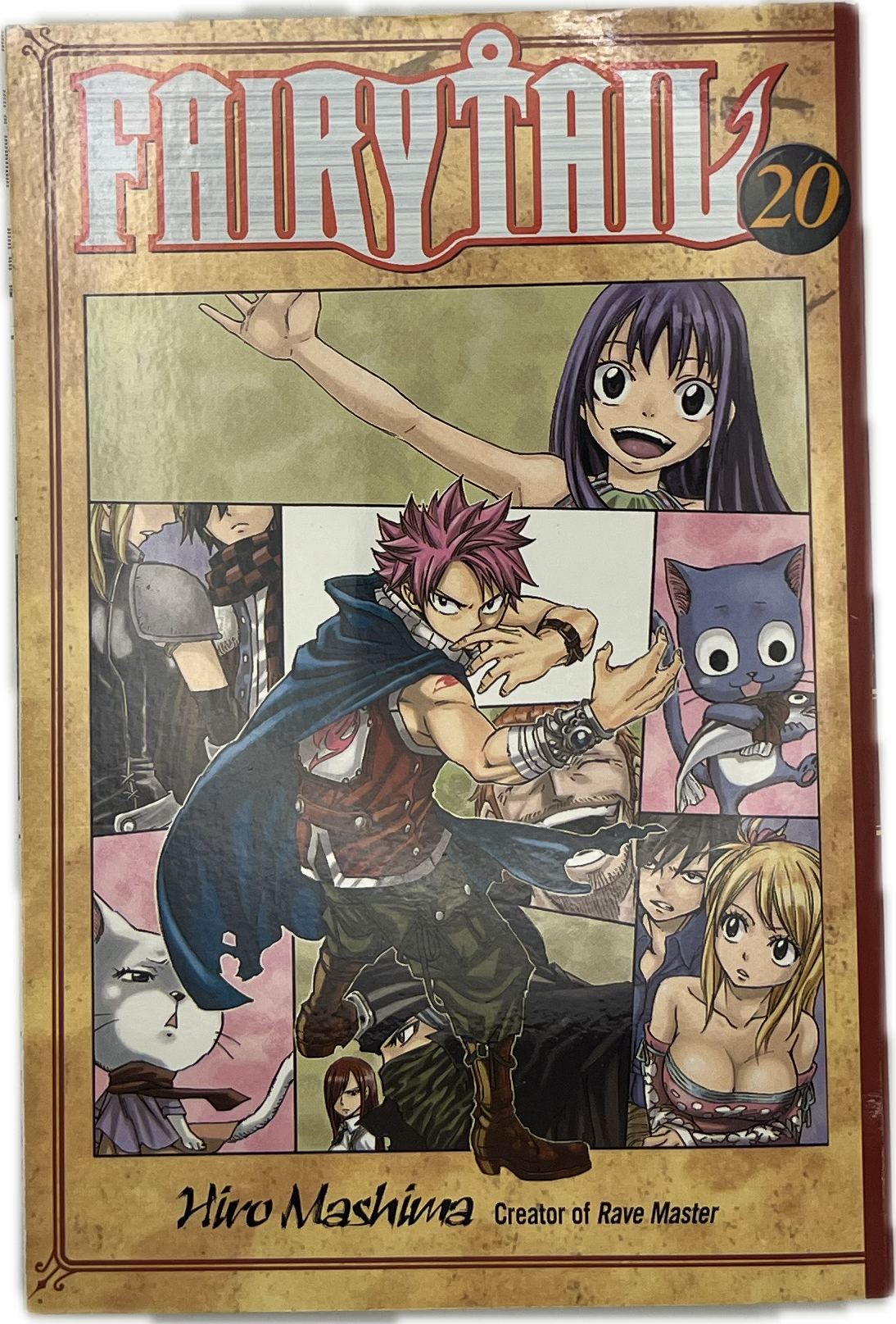 Fairy Tail 20 englisch