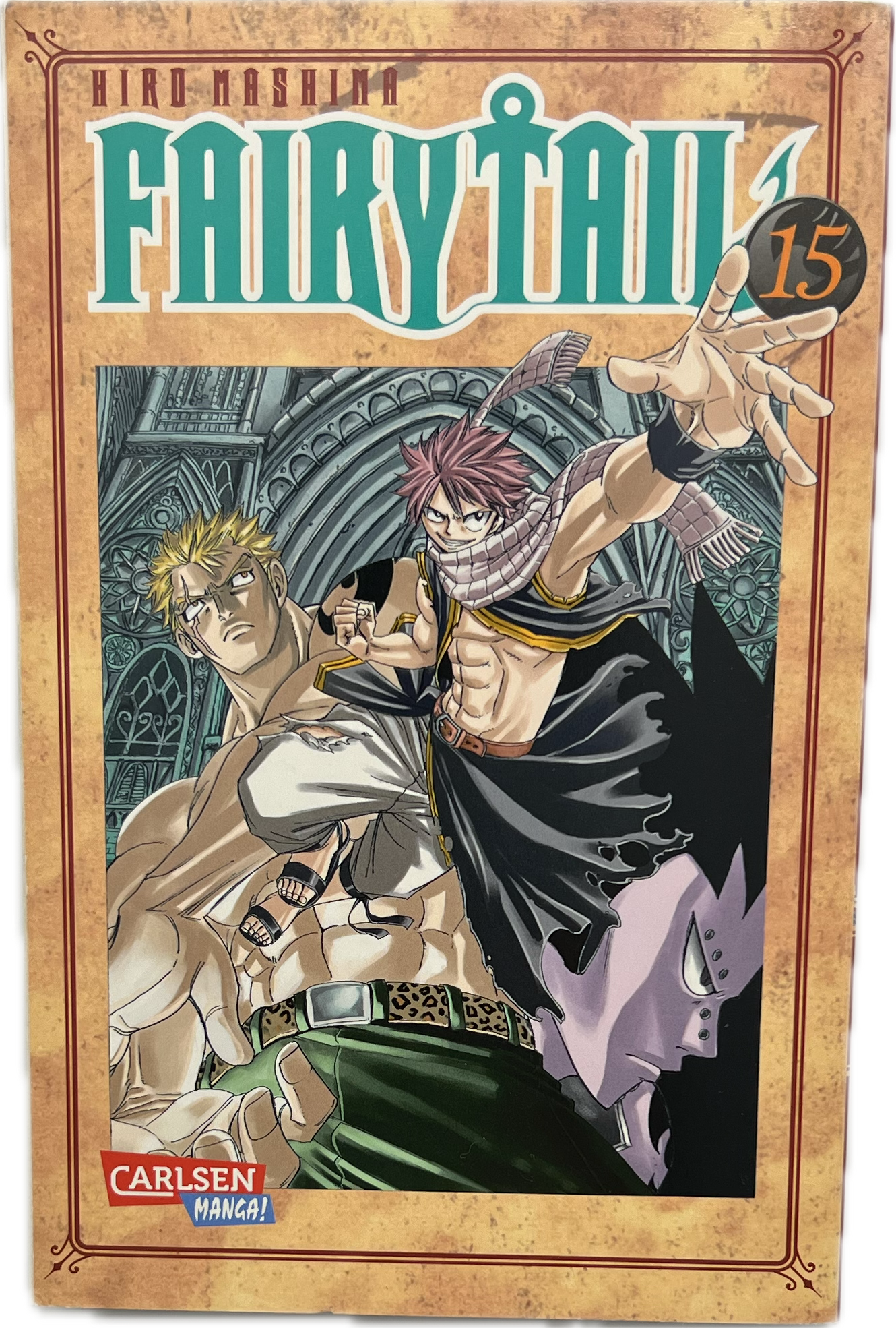 Fairy Tail 15-Manayga