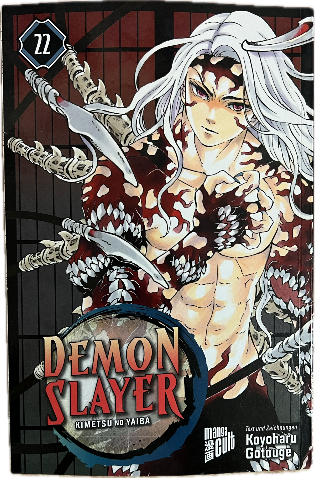 Tueur de démons 22