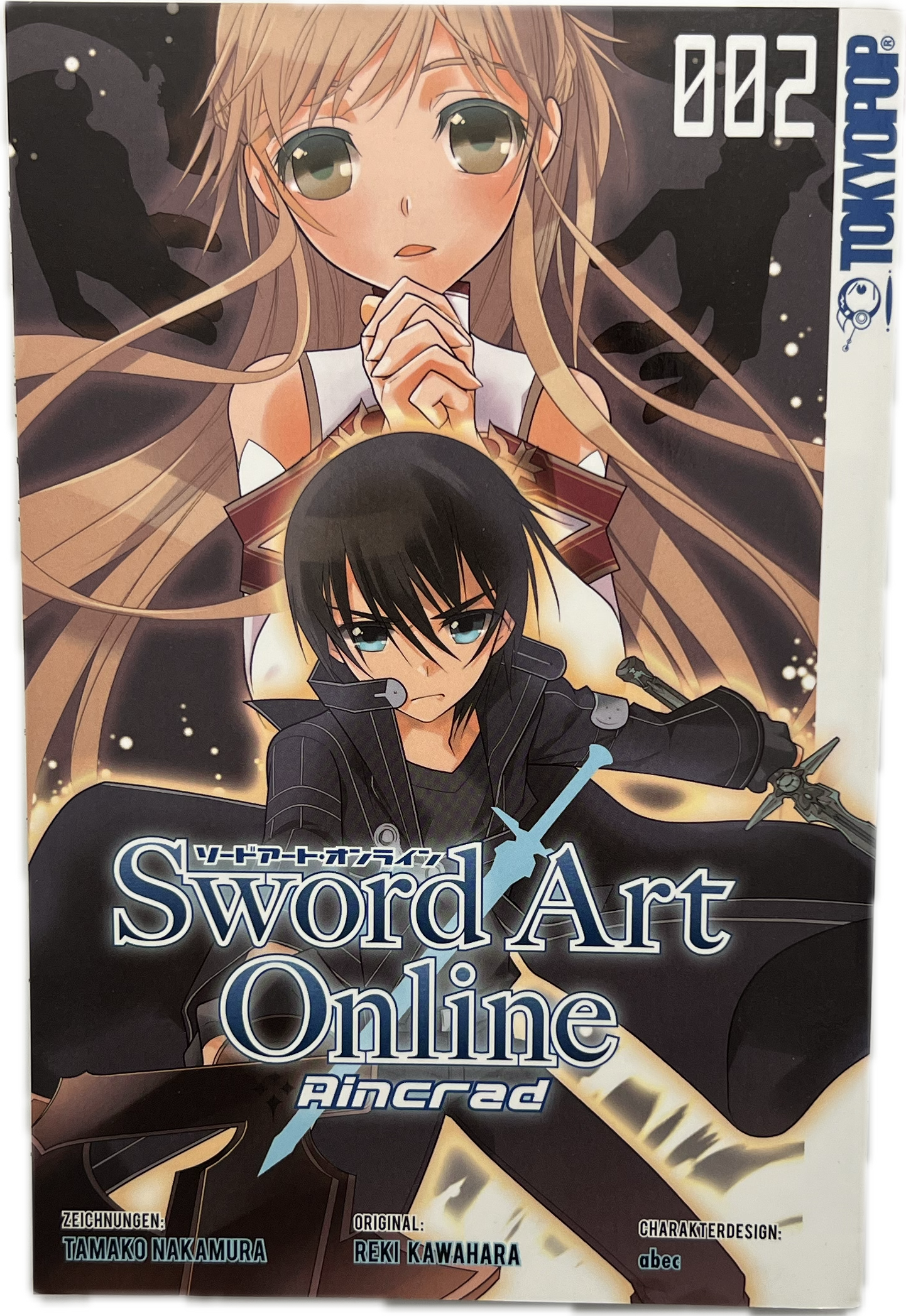 Sword Art Online Aincrad 2-Manayga